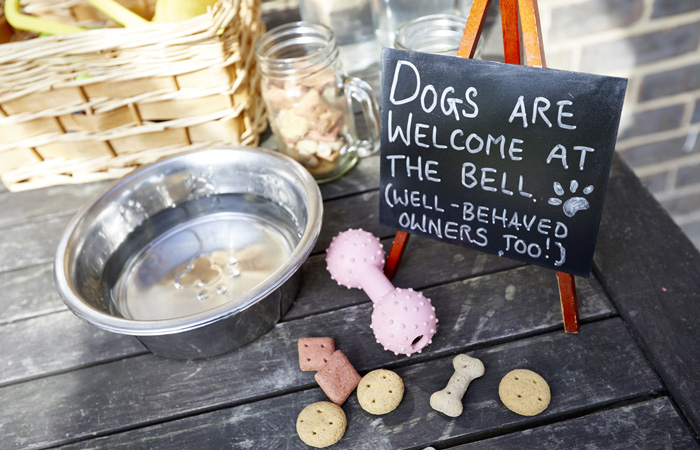 Dog friendly pubs and hotels in the south of England
